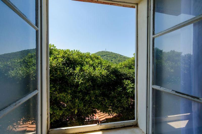 Apartment Pavo Dubrovnik Eksteriør billede